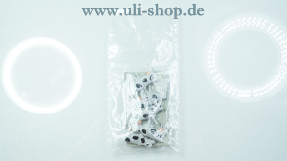 VEB Spielwarenfabrik Bernburg H0 5457970/510/050 Figuren Bild 2