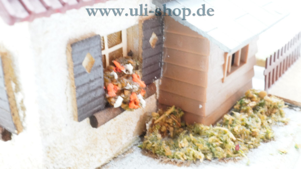 Faller H0 231 Modellhaus Bild 5