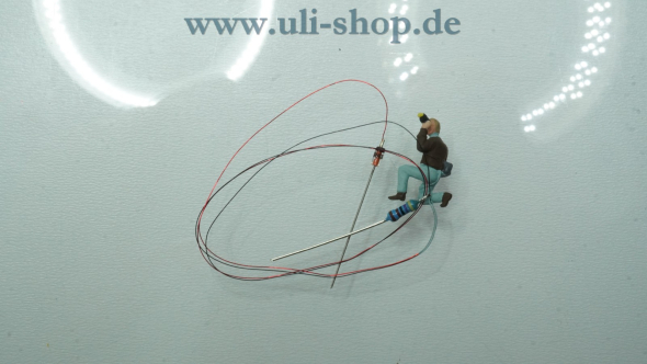Galeriebild - zum Vergrößern bitte auf das Bild klicken