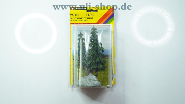 Noch H0/TT 21880 Galeriebild - zum Vergrößern bitte auf das Bild klicken