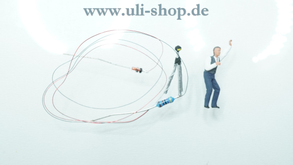 Galeriebild - zum Vergrößern bitte auf das Bild klicken